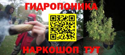 дурь Заводоуковск