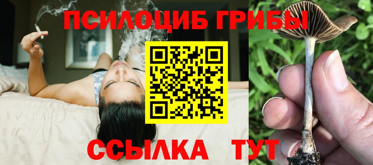 Галлюциногенные грибы Magic Shrooms Дюртюли