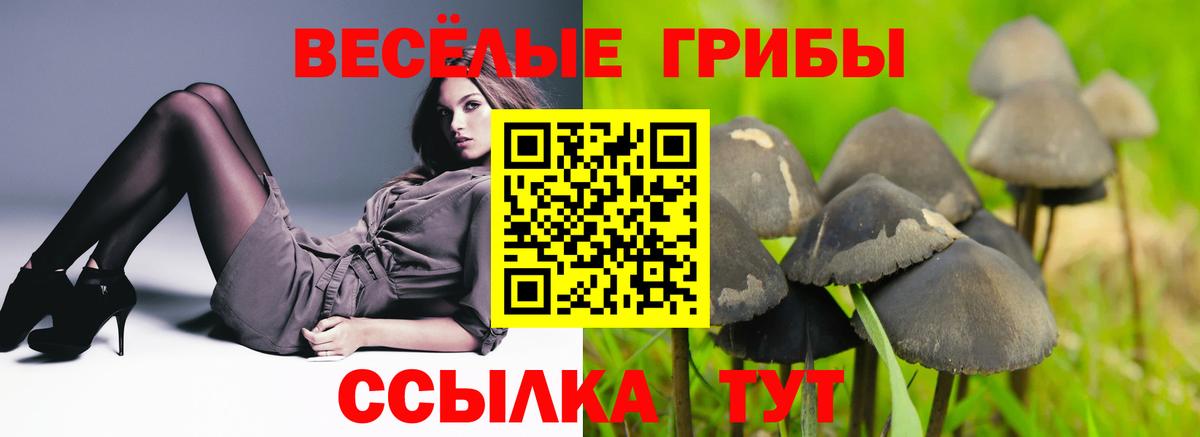 Галлюциногенные грибы GOLDEN TEACHER  Вход с VPN  Дюртюли 